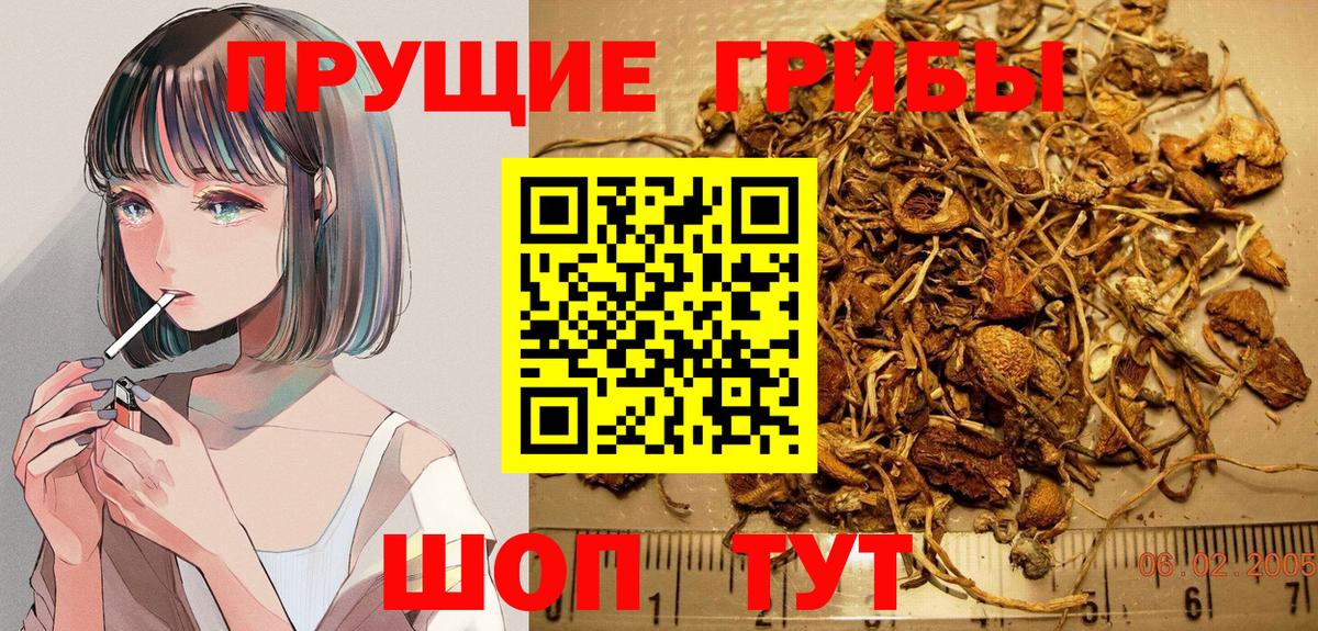 Александров  Галлюциногенные грибы мухоморы  Вход с VPN  Псилоцибиновые грибы Psilocybe 