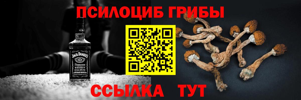 Псилоцибиновые грибы MAGIC MUSHROOMS Александров